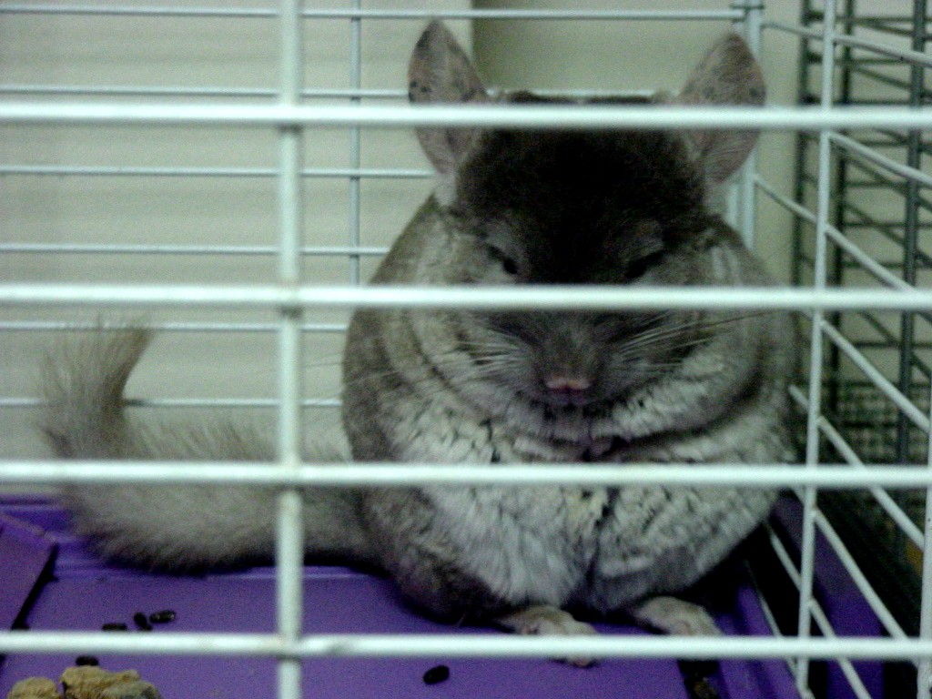 brandy06.jpg