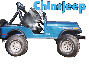 chinsjeep.gif